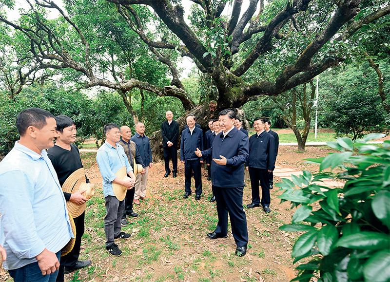 2023年4月10日至13日，中共中央總書記、國家主席、中央軍委主席習(xí)近平在廣東考察。這是11日下午，習(xí)近平在茂名高州市根子鎮(zhèn)柏橋村荔枝種植園，同現(xiàn)場技術(shù)人員親切交流。